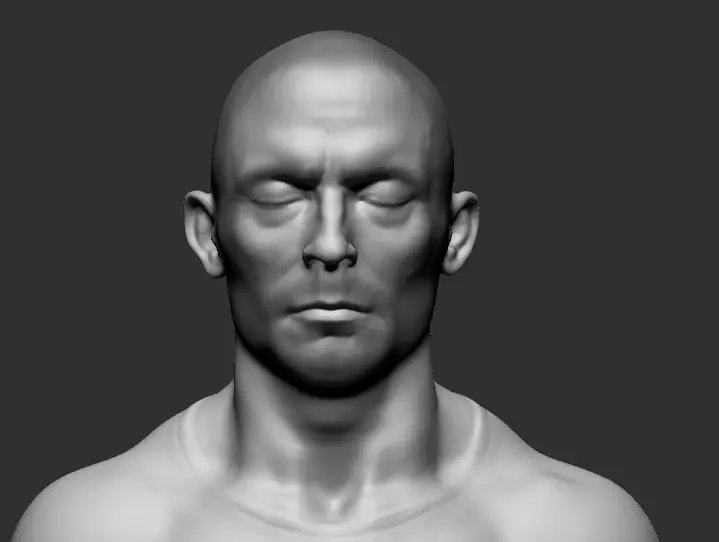 Head Study