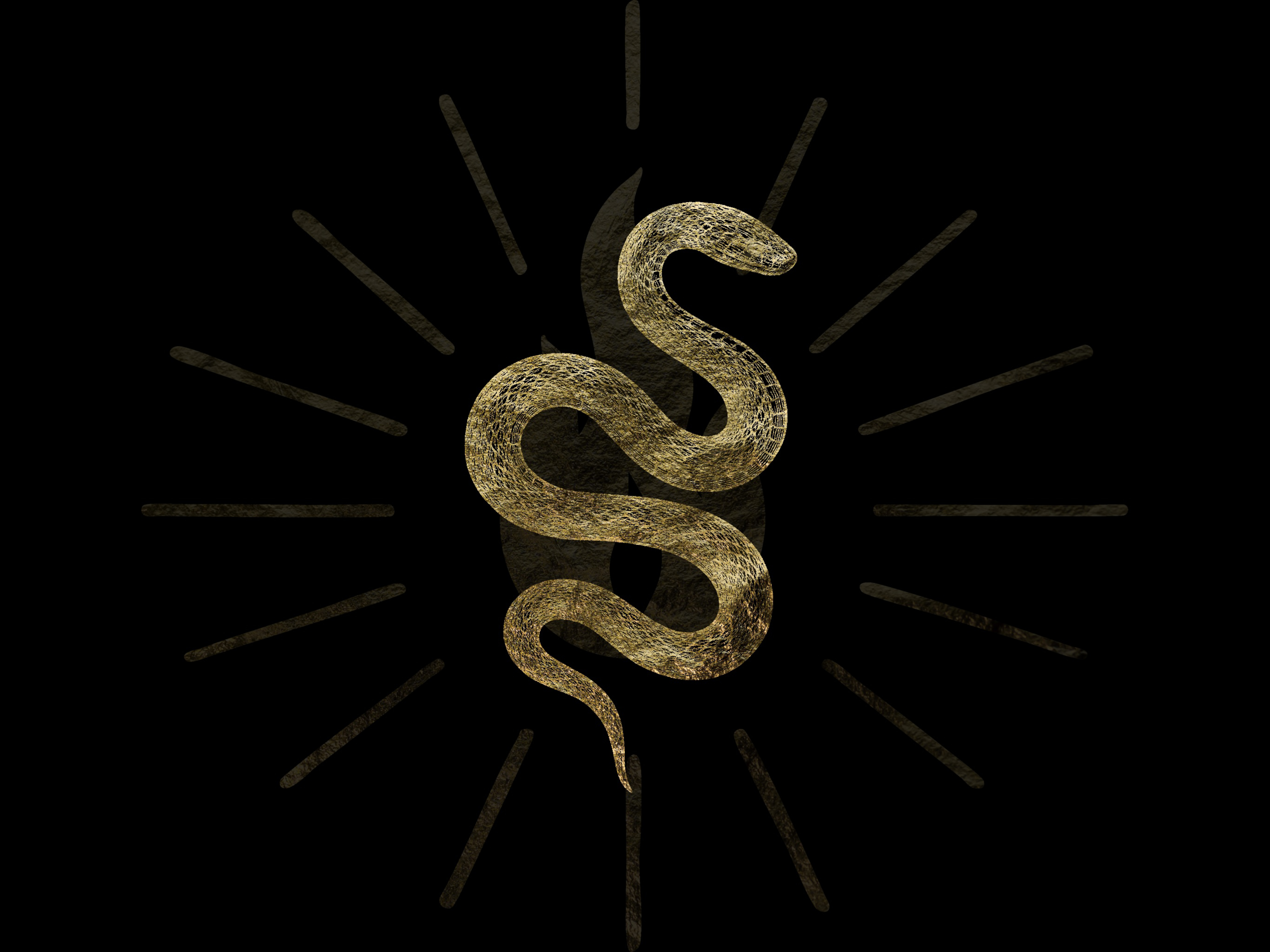 Snake with flame