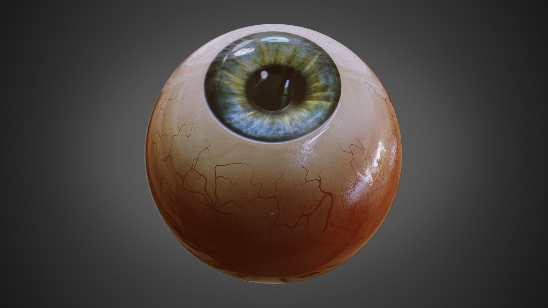eyeball