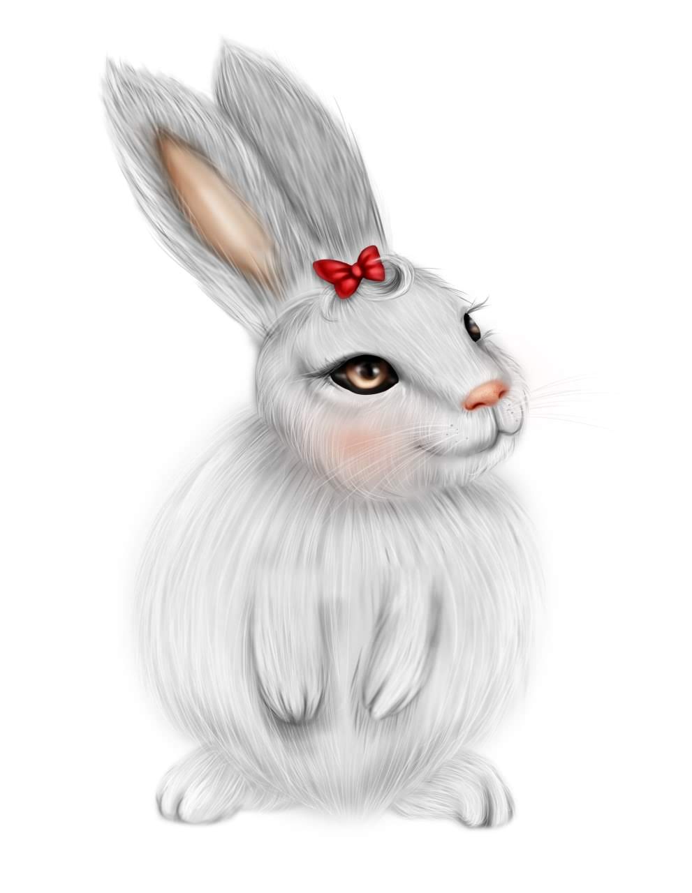 Conejo